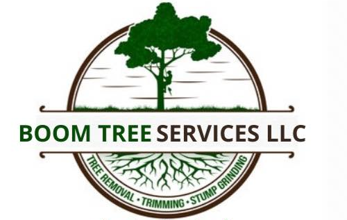 Boom Tree Services