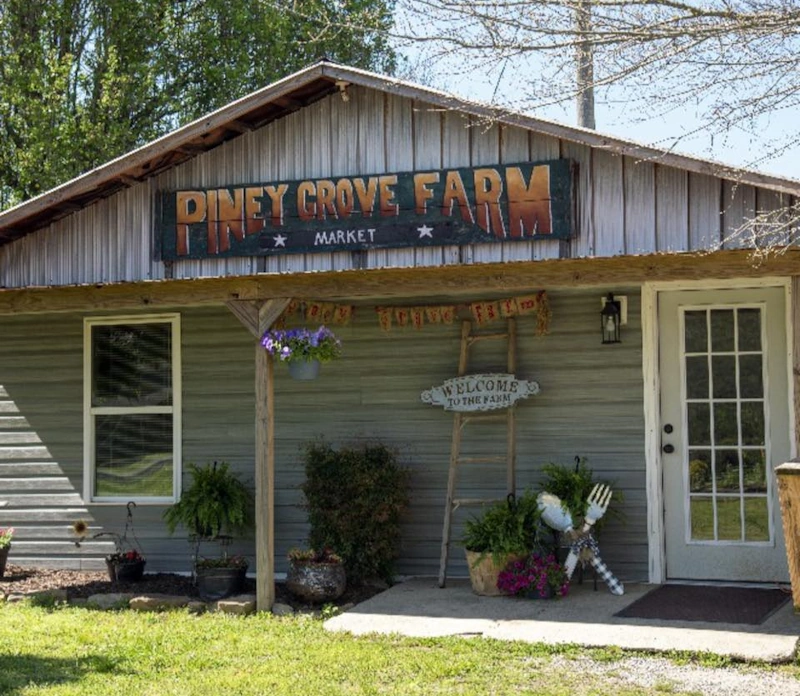Piney Grove Farm