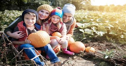 Survival Guide: Selling Your Home in the Fall